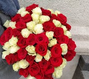 51 роза